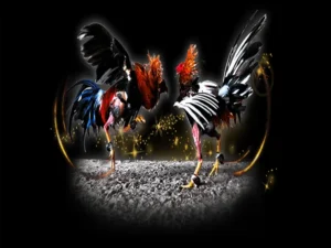 Bí Kíp Thống Trị Đấu Trường Đá Gà Sabong Tại 8Day Cực Chuẩn