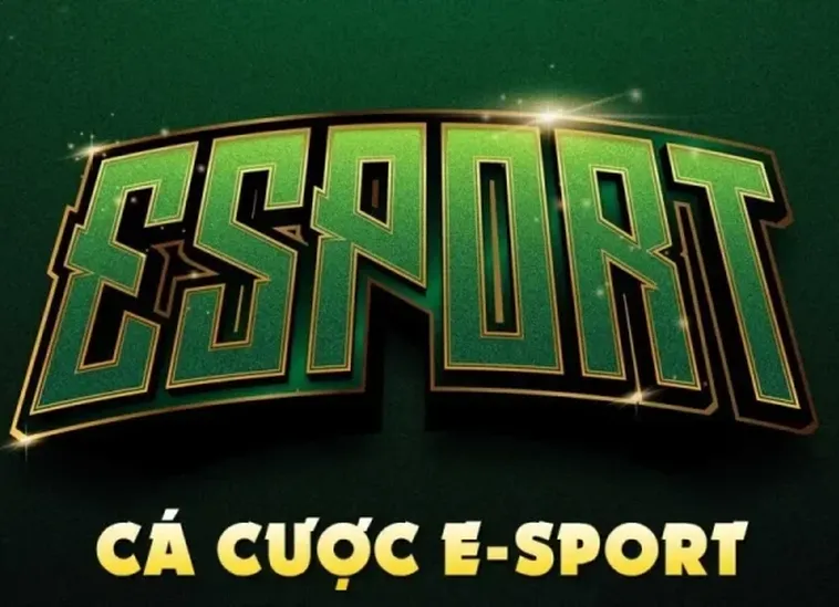 Làm Chủ Đấu Trường Cá Cược Thể Thao Điện Tử Tại 8Day 2 Làm Chủ Đấu Trường Cá Cược Thể Thao Điện Tử Tại 8Day